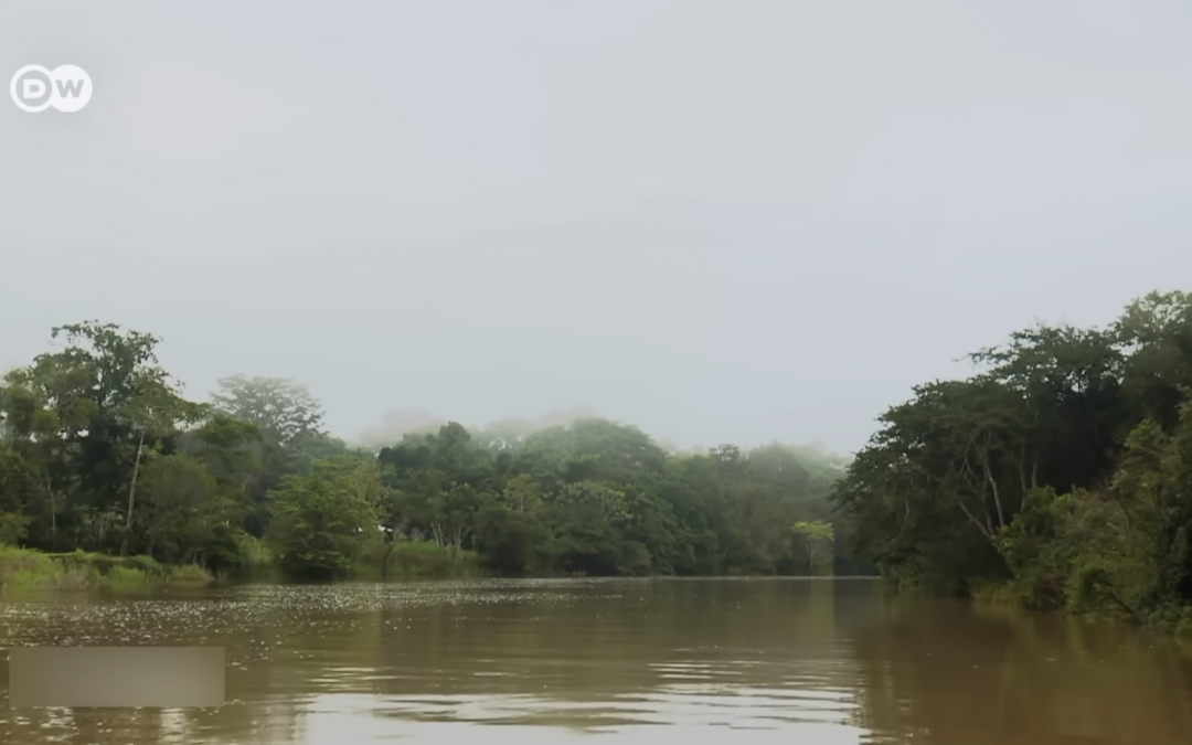 Recorriendo el Amazonas peruano