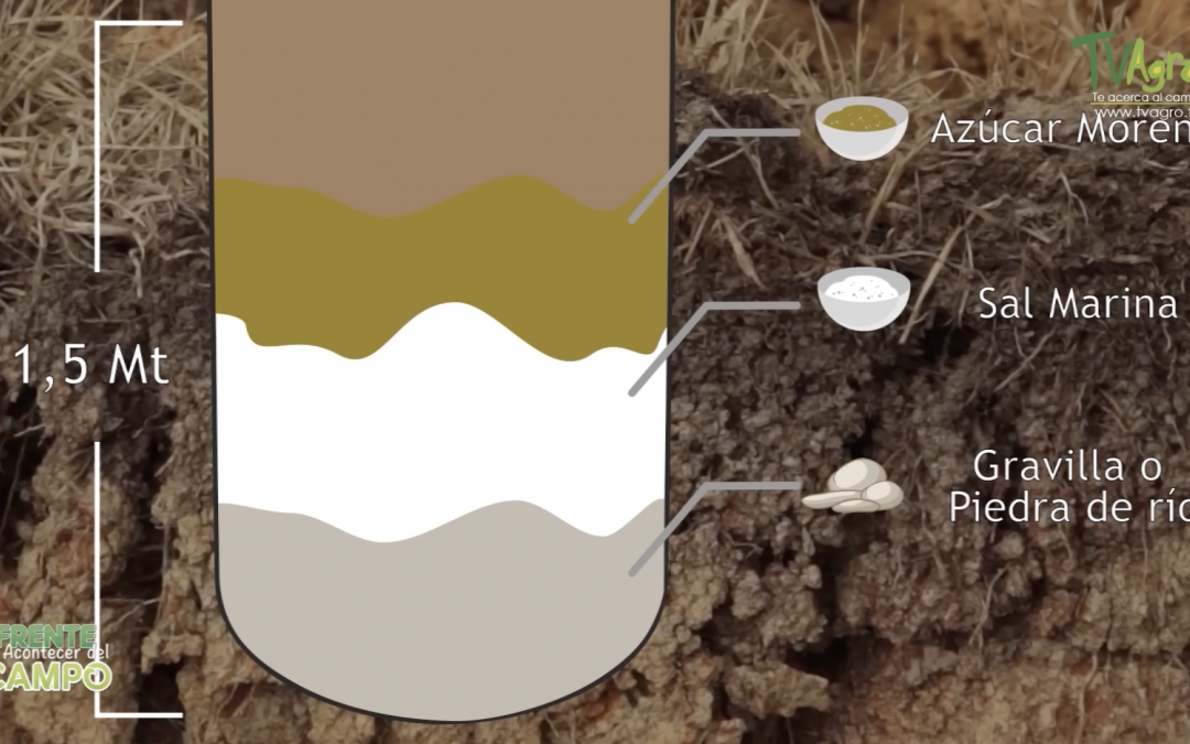 ¿Es posible sembrar agua?