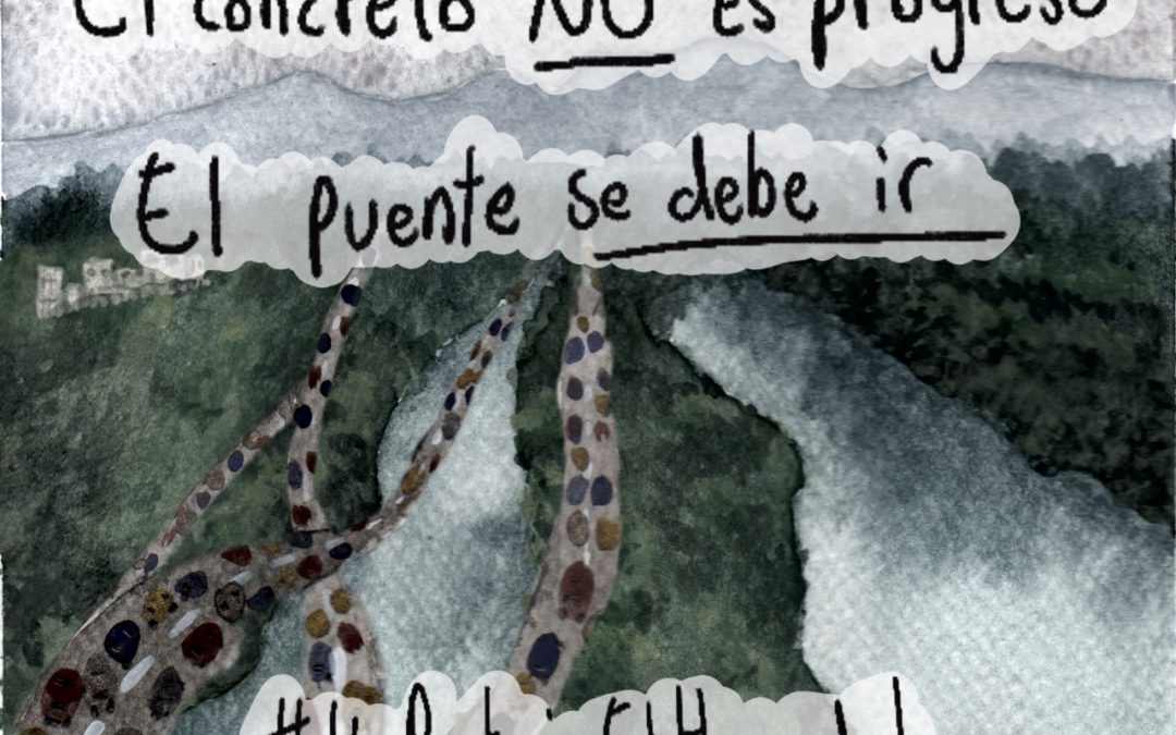Yo protejo el humedal