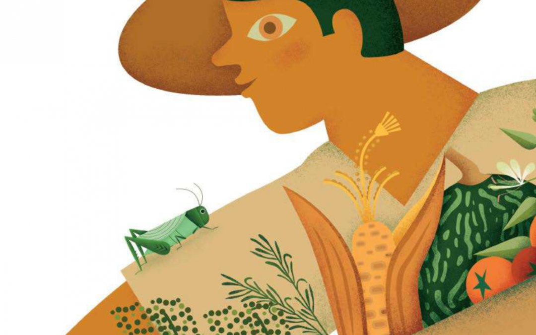 Sabores y saberes de la milpa
